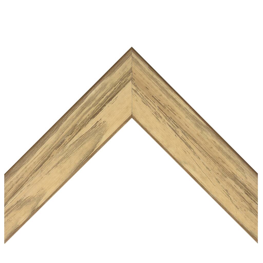 CF9125011.jpg img